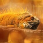 ¿Tu iguana se está muriendo?